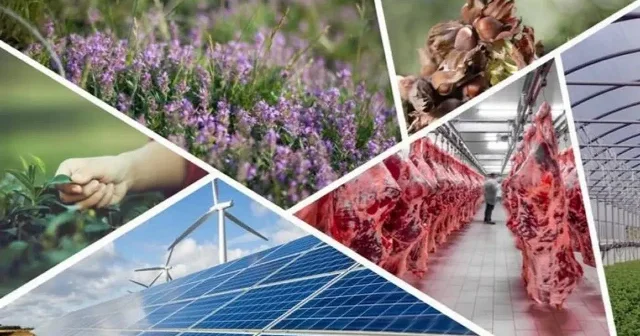Kırsal kalkınmaya dev destek: 597,6 milyon lira hibe ödendi Ekonomi Haberleri