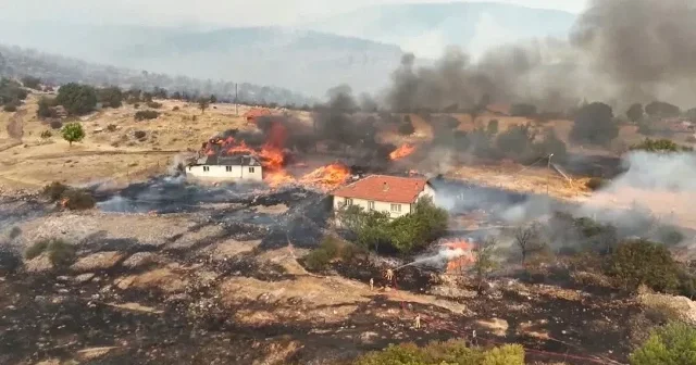 Kastamonu da ormanlık alanda başlayan yangın yerleşim yerine sıçradı: Ekiplerin yoğun müdahalesi sürüyor VİDEO İZLE