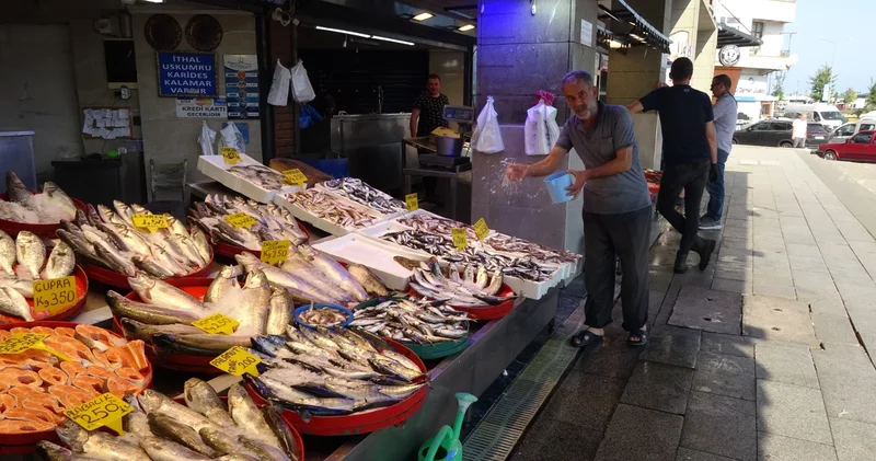 Balıkçılar sezona istavritle başladı, palamut avı beklentileri karşılamadı