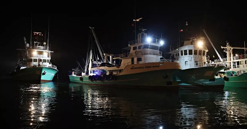 Balıkesir de vira bismillah diyerek sezonu açan balıkçılar ilk hasadı yaptı