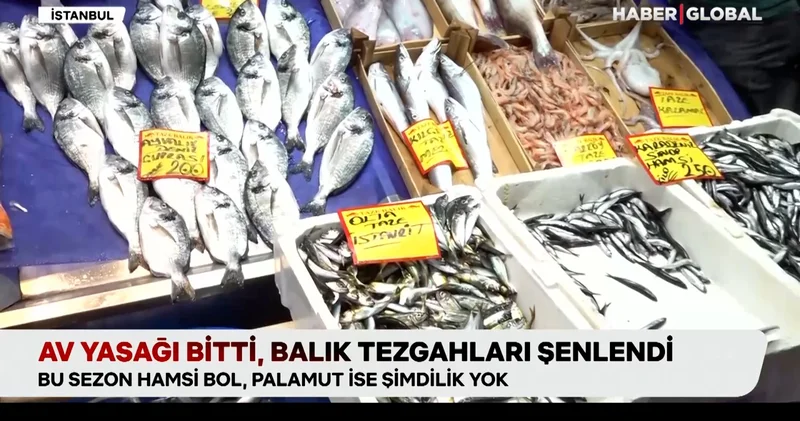 Balıkçılar vira bismillah dedi: Av yasağı sona erdi, balık tezgahları şenlendi