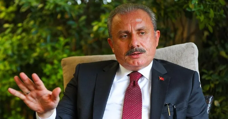 Şentop tan yeni öneri! PKK’lılara ertelemeli af getirilsin formülü Sözcü Gazetesi