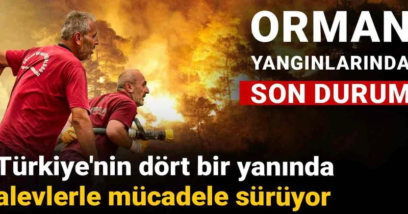 Türkiye nin dört bir yanında alevlerle mücadele sürüyor! Orman yangınlarında son durum