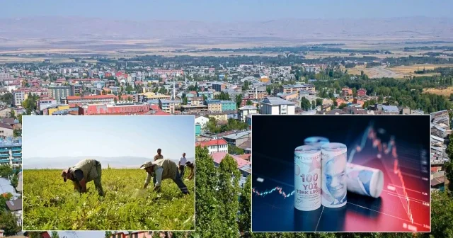 Adana’yı da Diyarbakır’ı da solladı: Bir şehir milyarlık gelire koşuyor Muş Haberleri