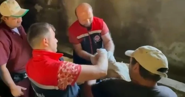 Erzurum da 120 görevli 817 bin hayvanın yüzde 60 ını aşıladı Erzurum Haberleri