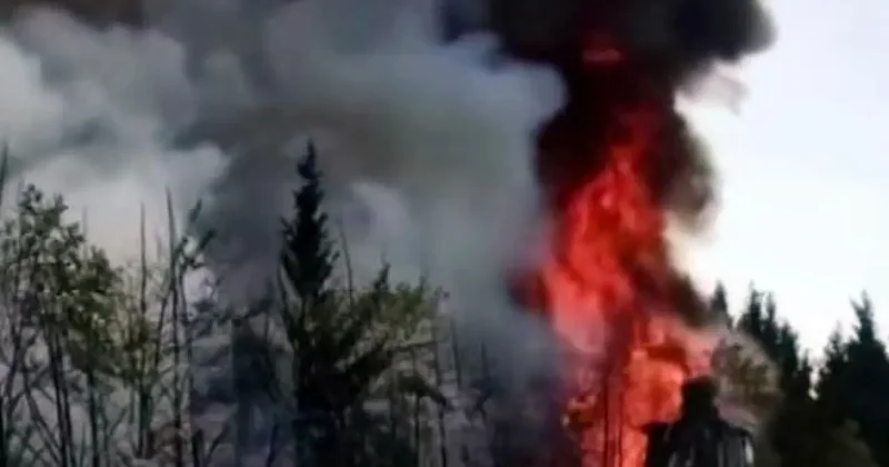 Ağaçlar alev topuna döndü, trafik durduruldu