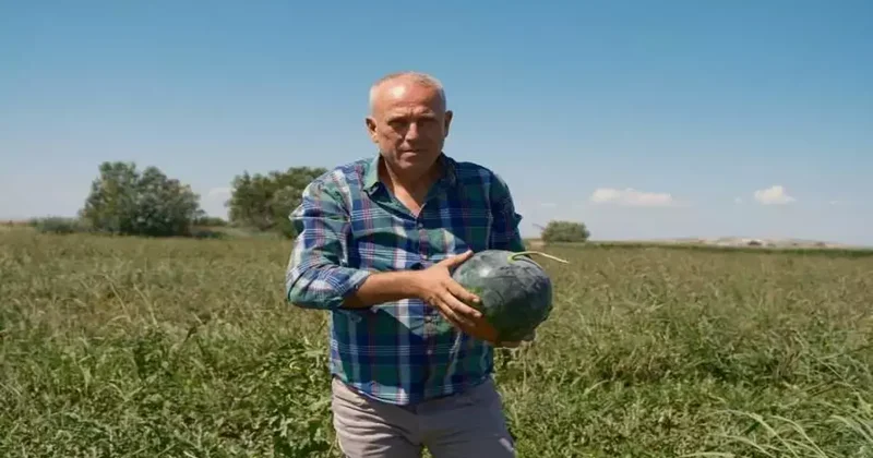 Bursalı çiftçi güvenerek sözleşme imzaladı, 3 bin 500 ton karpuz elinde kaldı