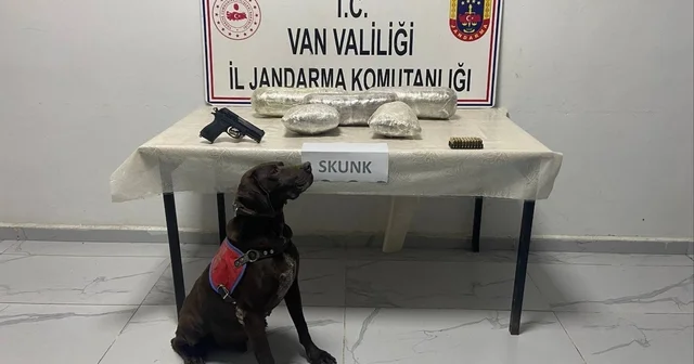 Tütün , araçta 4 kilo skunk buldu Van Haberleri