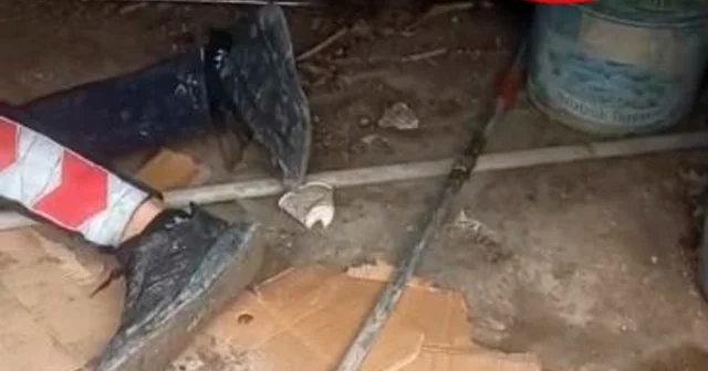 Yavrusu kurtarılırken anne kedinin bölgede bekleyişi kamerada Şırnak Haberleri