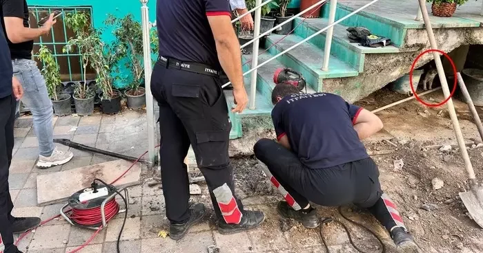 Merdiven boşluğuna sıkışan yavru kediyi itfaiye ekipleri kurtardı