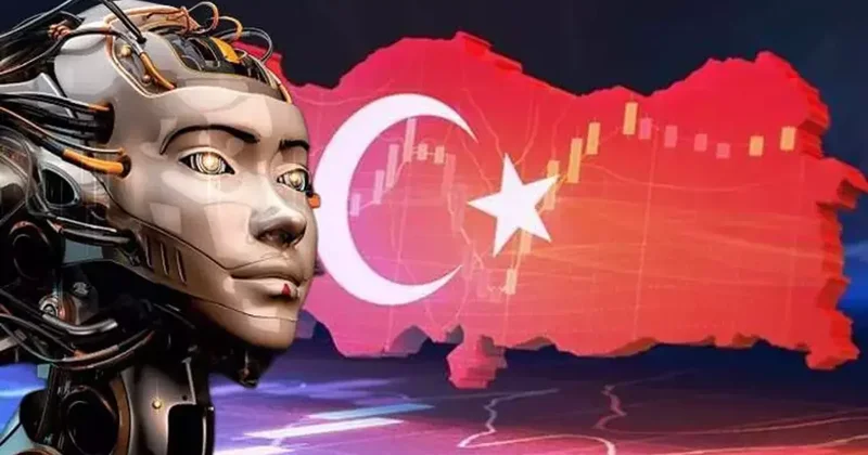 Türkiye yi ilk kez böyle göreceksiniz! Çizgi film olsaydı hangi il nasıl görünürdü?