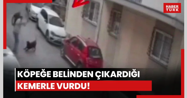 Köpeğe kemerle vurdu!