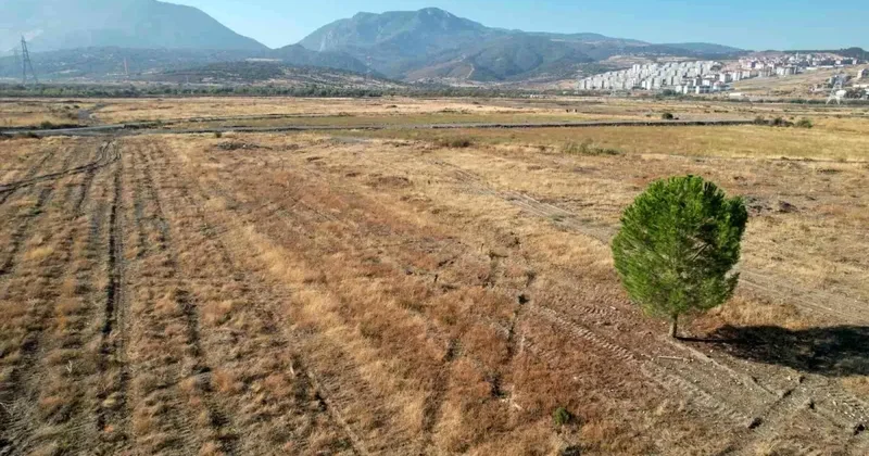 2026 da hizmete girecekti BYD fabrikası yılan hikayesine döndü