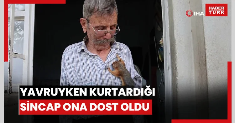 Yalnız kalmıştı, yavruyken kurtardığı sincap dostu oldu