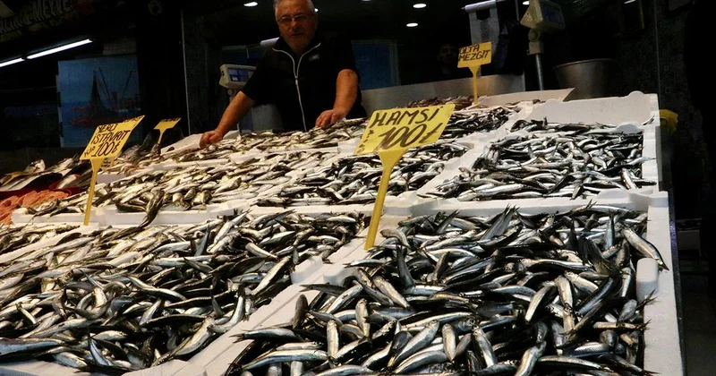 Balıkçı tezgahlarında hamsi ve istavrit 100 liradan satılıyor