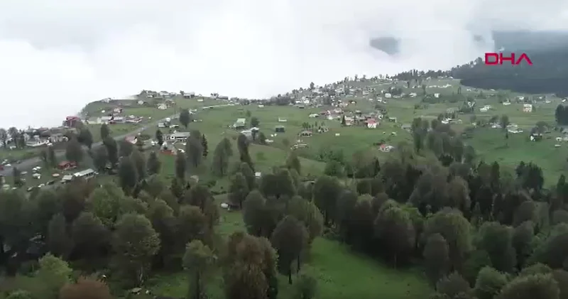 Karadeniz in nemindeki sinsi tehlike: Çiftçi akciğeri kronikleşebilir
