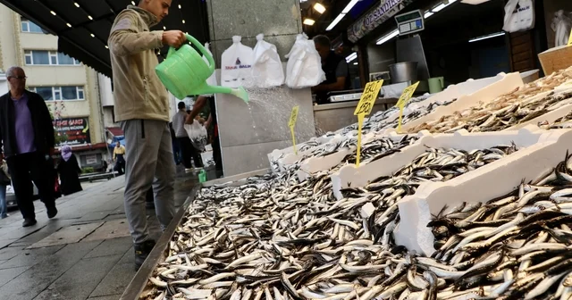 Trabzon da hamsi ve istavritin kilogramı 100 liradan satılıyor Trabzon Haberleri