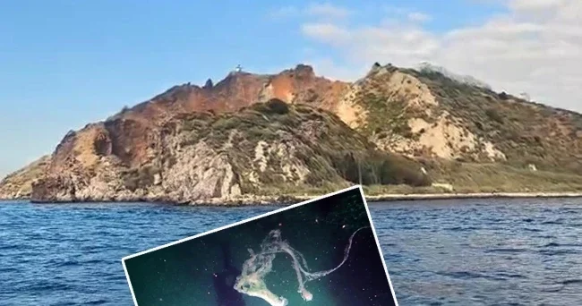 Marmara da büyük tehdit: 10 metre derinlikte görüldü