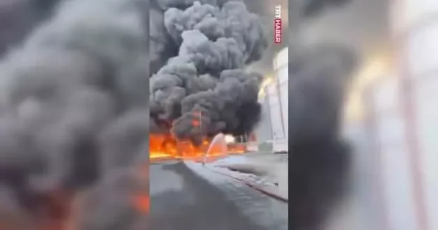 Hamriya Liman ında, bir petrokimya tesisinde yangın çıktı
