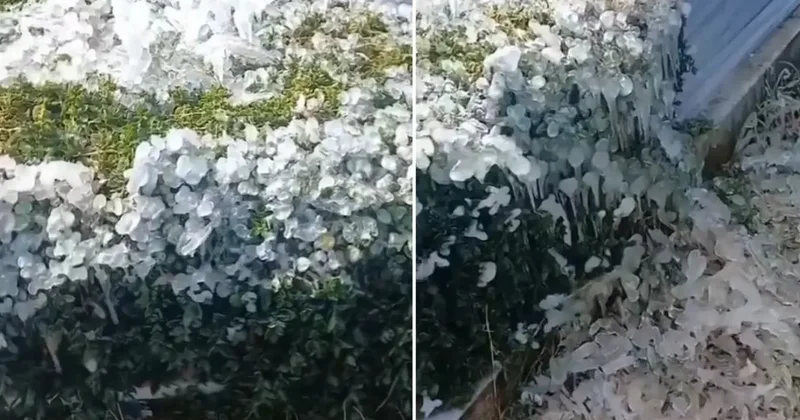 Yer: Osmaniye! Mezarlıkta çekildiği söylenen görüntü büyük tartışma yarattı