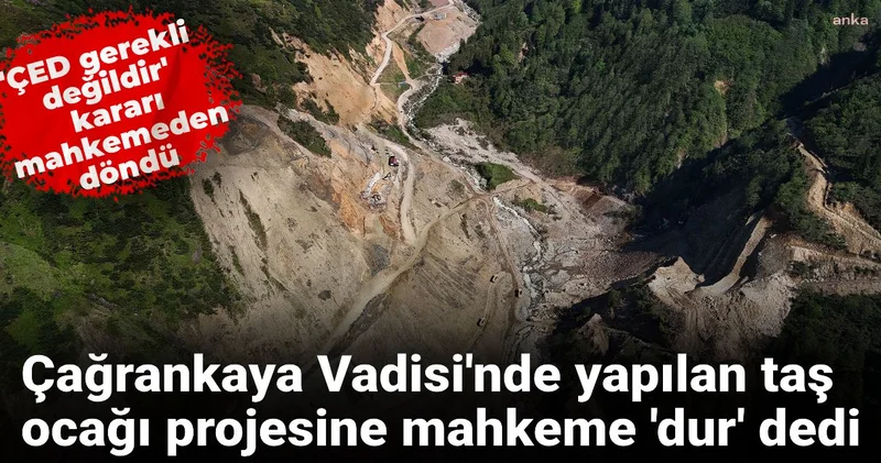 Rize deki taş ocağı projesine mahkeme dur dedi!