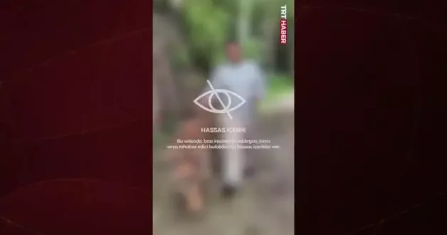 Tayland’da korkunç olay: Turist, fotoğraf çektirmek istediği kaplanın saldırısına uğradı