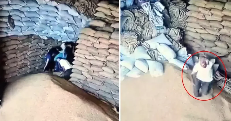 Böyle bir ölüm şekli yok! Sadece 1 kişi kurtuldu, o da arkasına bakmadan kaçtı