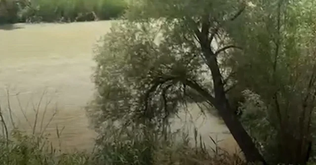 Mersin’de kirliliğe neden olan MESKİ’ye bakanlıktan dev ceza VİDEO İZLE