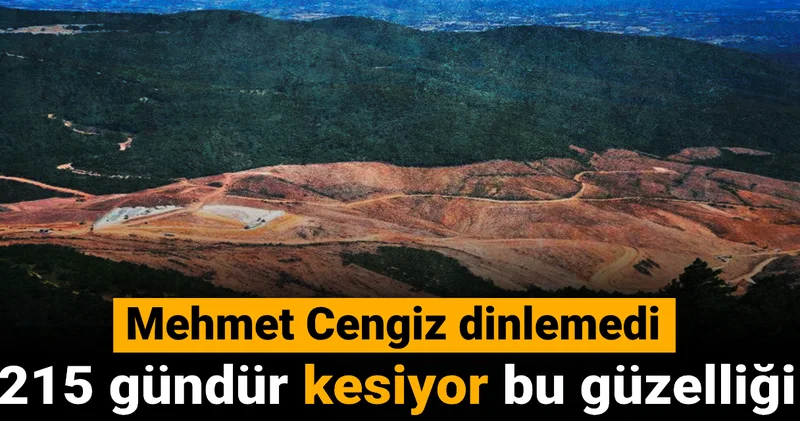 Mehmet Cengiz dinlemedi: 215 gündür kesiyor bu güzelliği