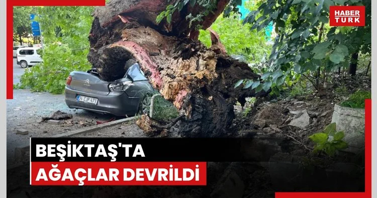 Beşiktaş ta devrilen ağaç 3 araca hasar verdi