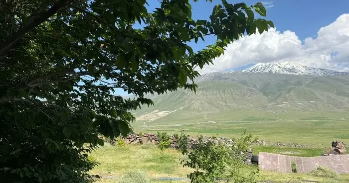 Iğdır’da çorak arazi ağaçlarla yeşeriyor
