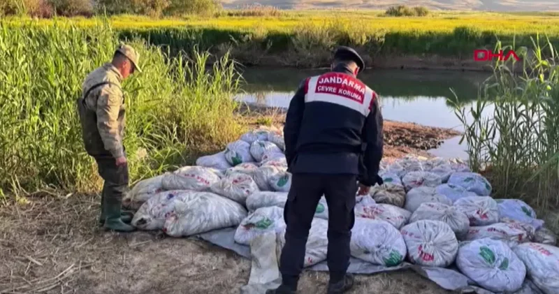 Van da 22 ton 475 kilogram inci kefali ele geçirildi