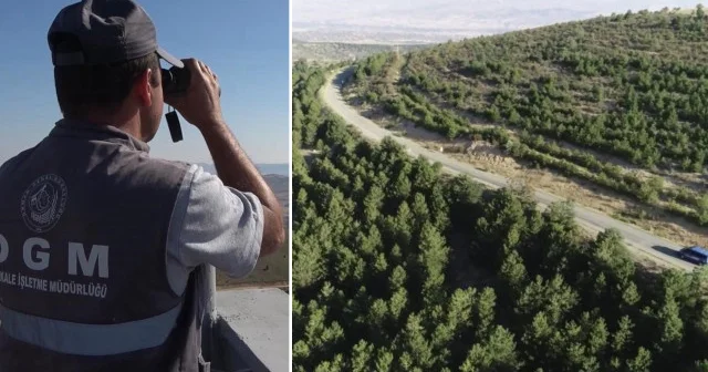 Valilikten yangın tedbiri: 5 ay boyunca ormanlara giriş yasak Kırıkkale Haberleri
