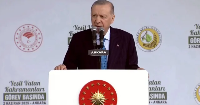 Cumhurbaşkanı Erdoğan: 2024 son 145 yılın en sıcak yılı oldu Politika Haberleri