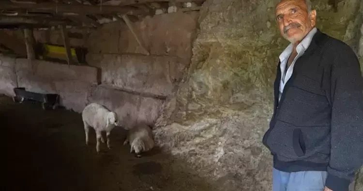 Bir gecede hepsi yok oldu! Canavar geldi, hepsini kırdı geçti