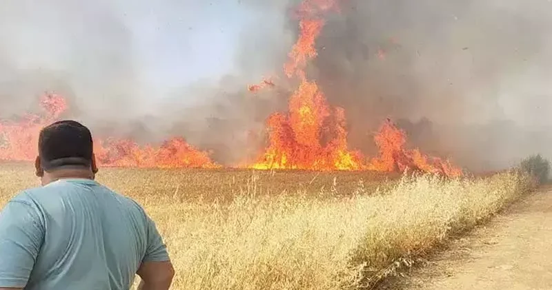 Manisa da buğday tarlasında yangın