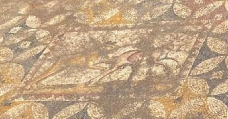Evin zemininden 2500 yıllık tarih çıktı