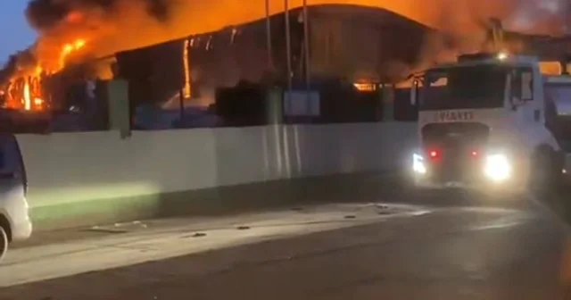 Adana da geri dönüşüm fabrikasında yangın Adana Haberleri