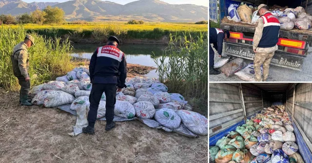Van da kaçak av operasyonu: 22 ton 475 kilogram balık ele geçirildi Van Haberleri