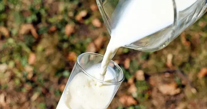 Açık satılan süt ve süt ürünleri sağlığı tehdit ediyor! Uzmanlar uyardı: 100 kadar hastalığa davetiye çıkarıyor