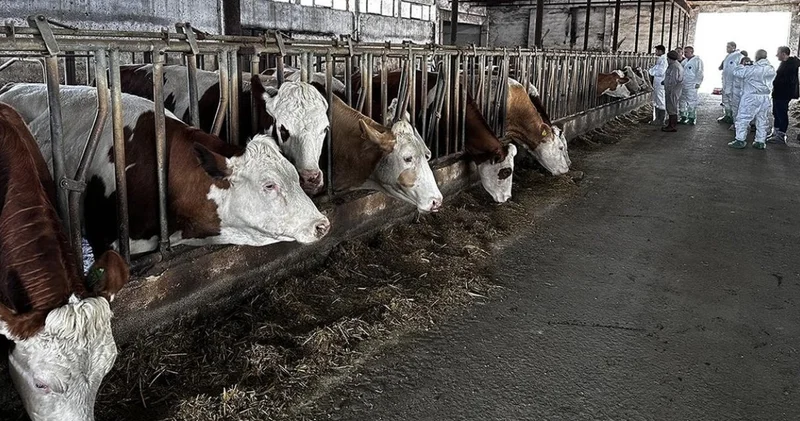 CHP li Adem den Tarım ve Orman Bakanlığı na şap soruları