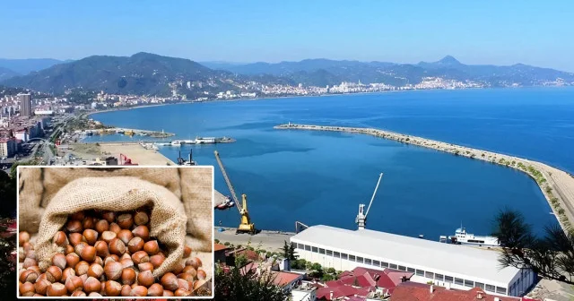 Türkiye’nin 10 aylık fındık ihracatı 2,3 milyar doları buldu Giresun Haberleri