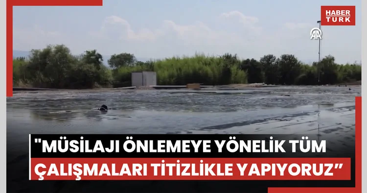 İzmit Körfezinde 100 bin kamyon çamurun çıkarıldığı bölgedeki iyileşme görüntülendi
