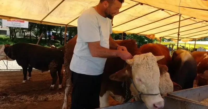 Hayvan Satış Yerleri Geçici Olarak Kapatıldı
