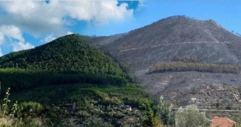 Yangın gitti arkasında enkazı kaldı: Her yer kül yığını