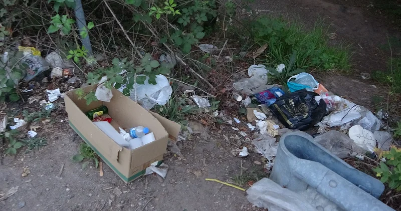 Şile ormanlarında çevre kirliliği alarmı: Poşet poşet atıklar doğaya bırakıldı