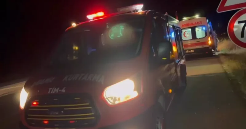 Elazığ da Kaza: Dede ve Torun Hayatını Kaybetti