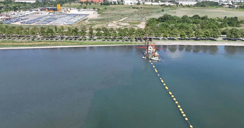 İzmit Körfezi nde temizlik sonrası doğa canlanıyor