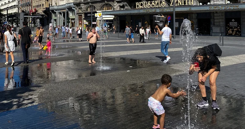Avrupa da panik başladı! Sıcaktan kitlesel ölüm korkusu