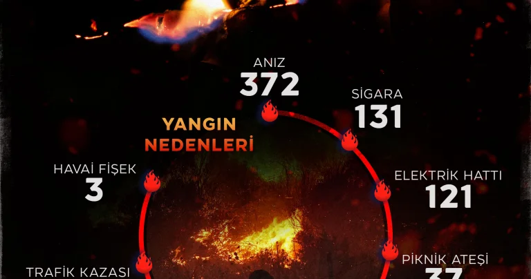 Haziranda çıkan yangınların neredeyse tamamı insan kaynaklı